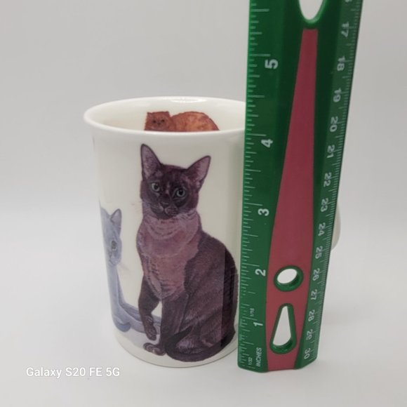 CATS GALORE Fine Bone China LANCASTER Mug by ROY KIRKHAM - Picture 9 of 9